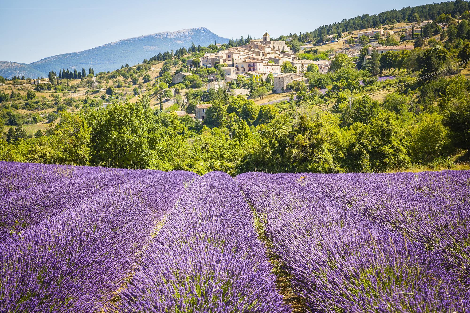 provence-aurel.1597884
