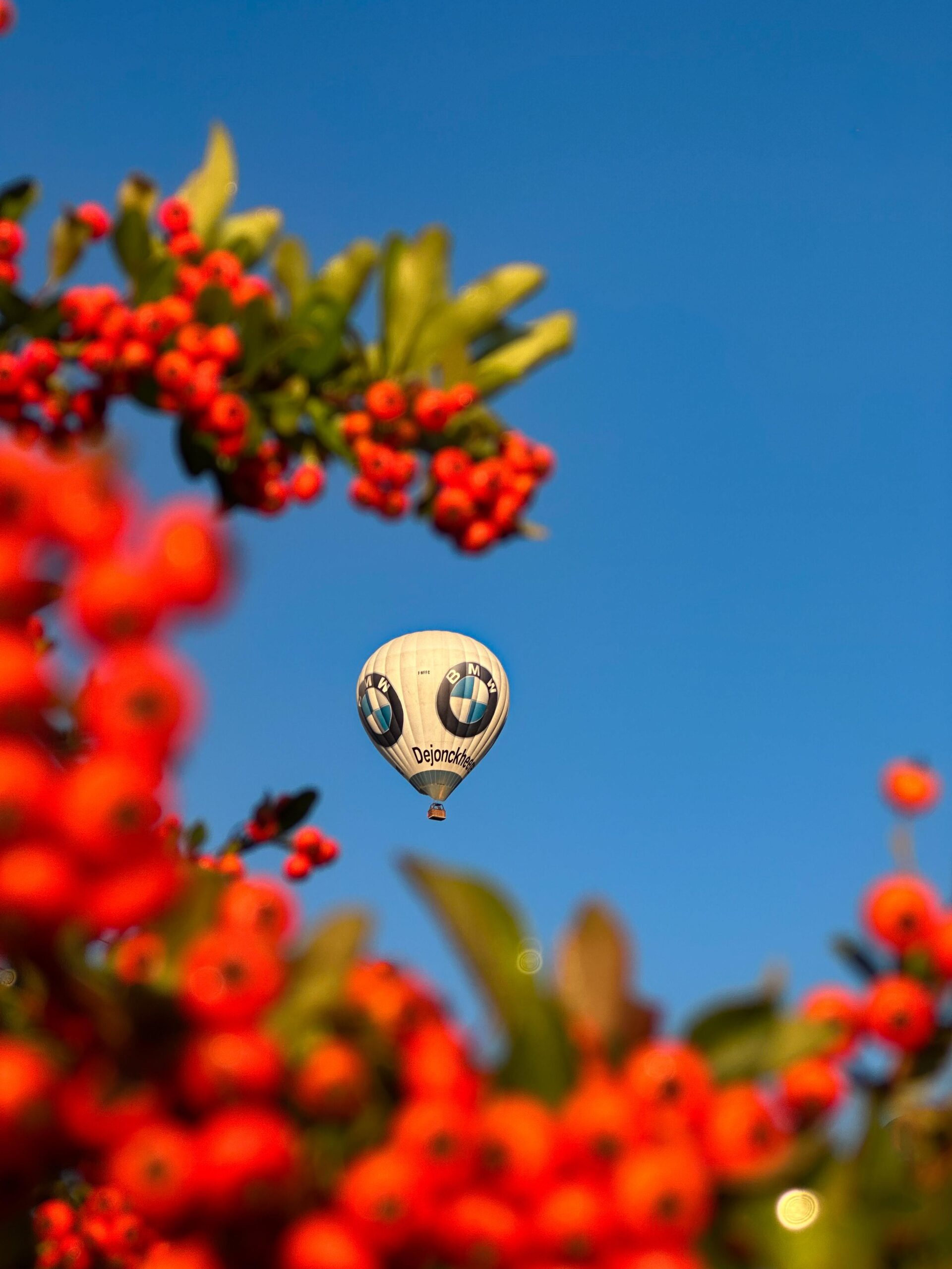 WhatsApp Image 2025-10-20 at 21.00.37 (1)