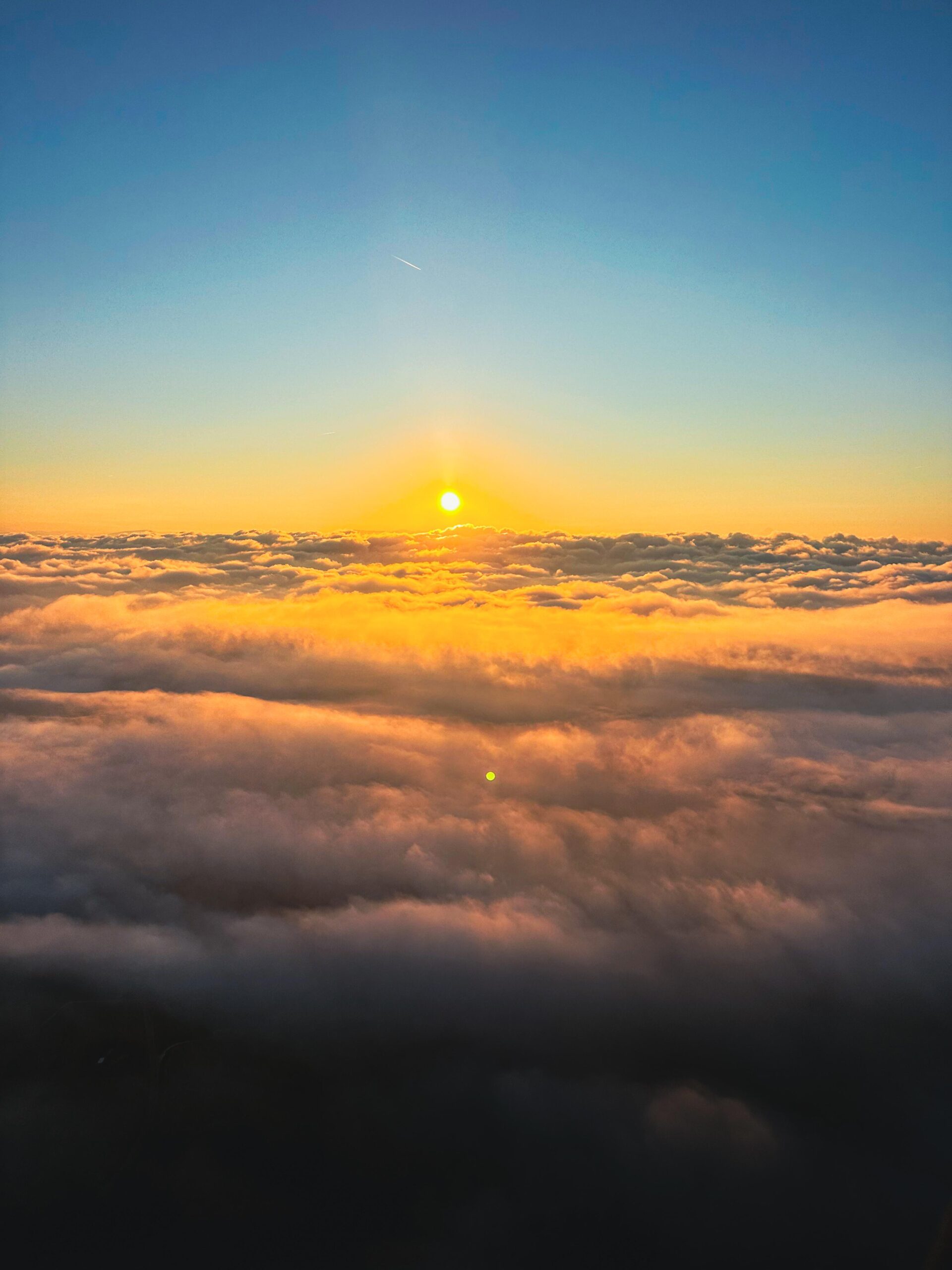 WhatsApp Image 2025-10-20 at 21.00.38 (4)